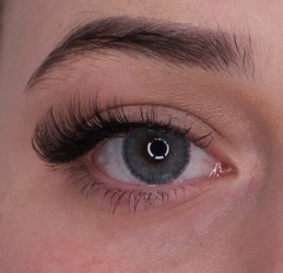 Delphin Jahreslinsen