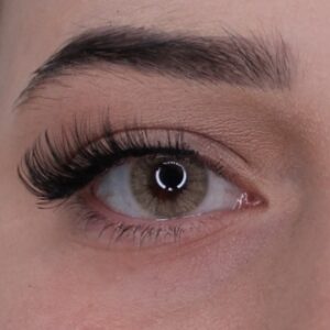 Hazelnut Jahreslinsen