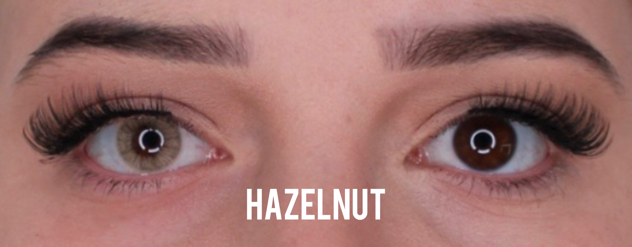 Hazelnut Jahreslinsen - Image 2