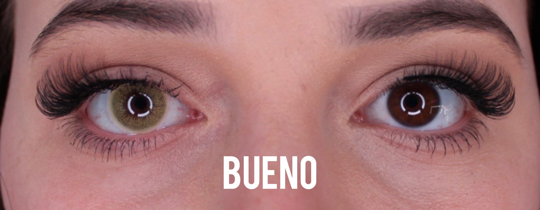 Bueno Jahreslinsen - Image 2