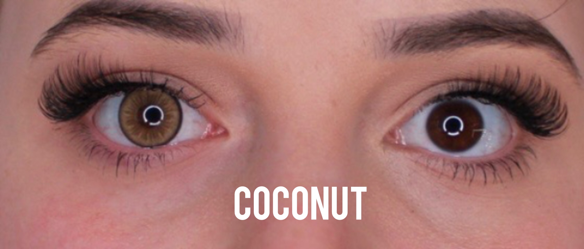 Coconut Jahreslinsen - Image 2