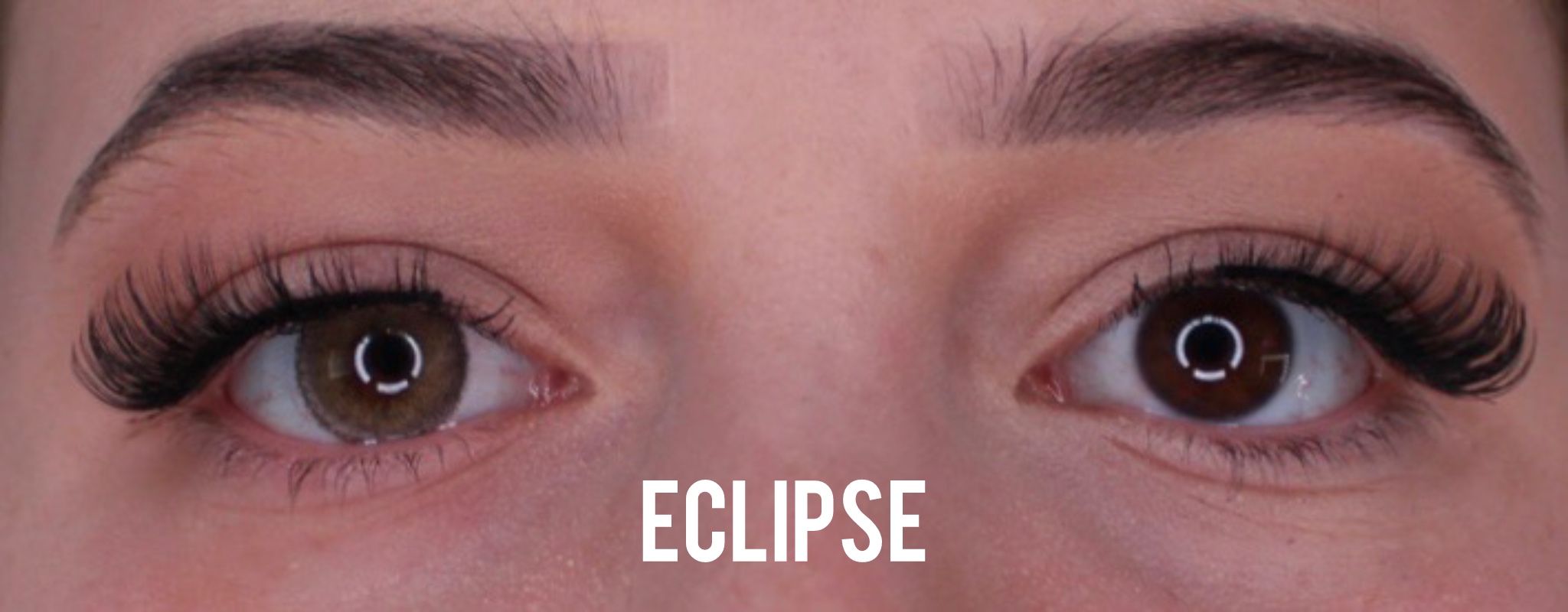 Eclipse Jahreslinsen - Image 2