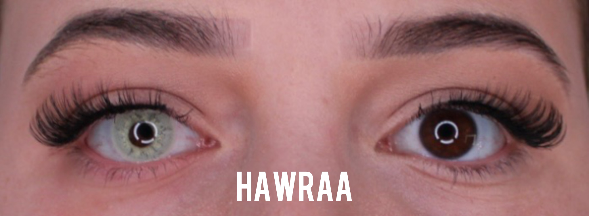 Hawraa Jahreslinsen - Image 2