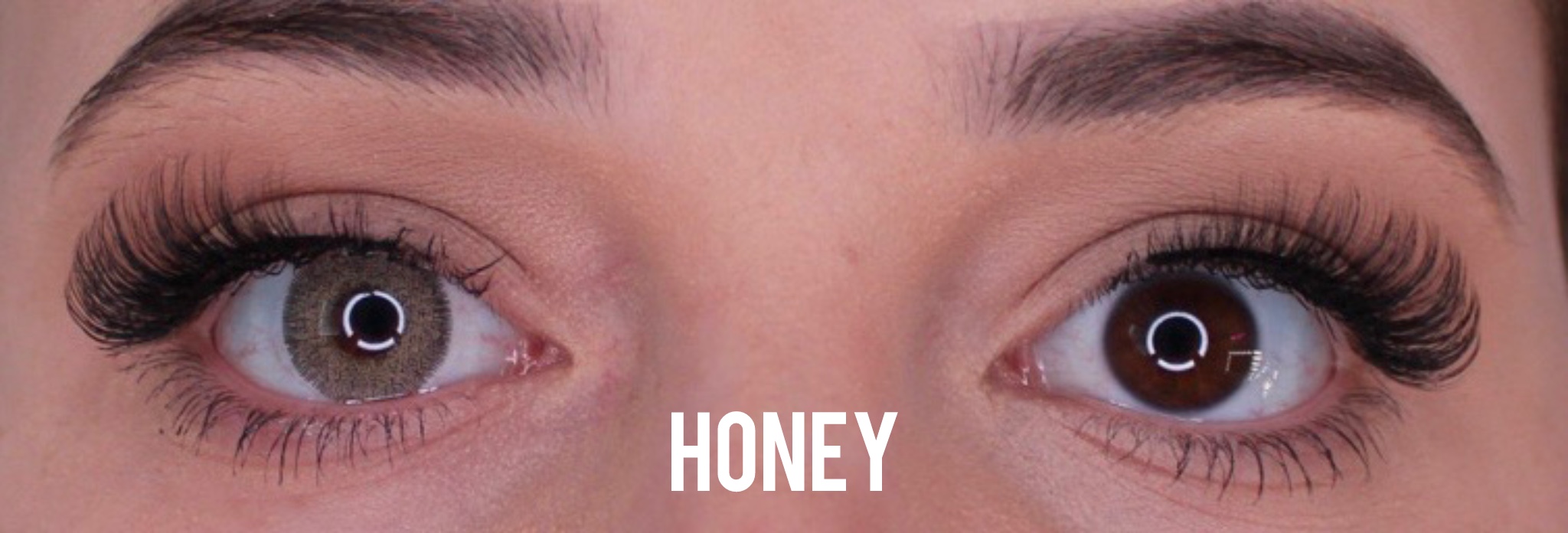 Honey Jahreslinsen - Image 2