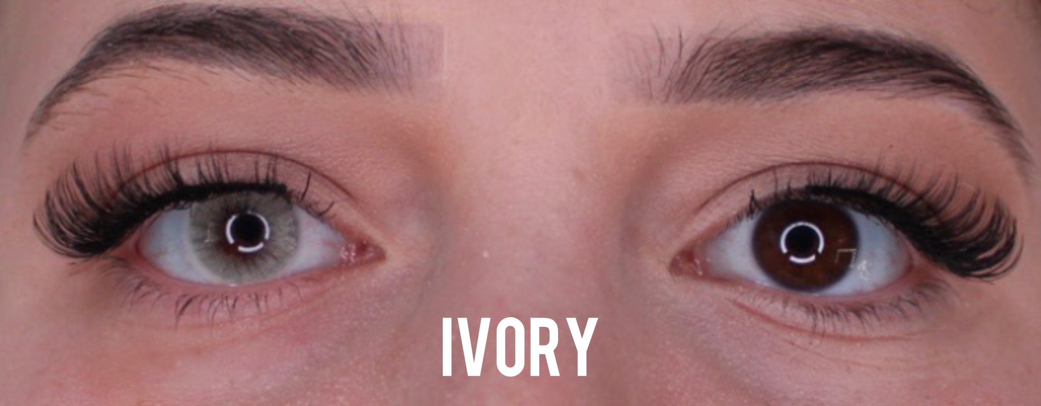 Ivory Jahreslinsen - Image 2