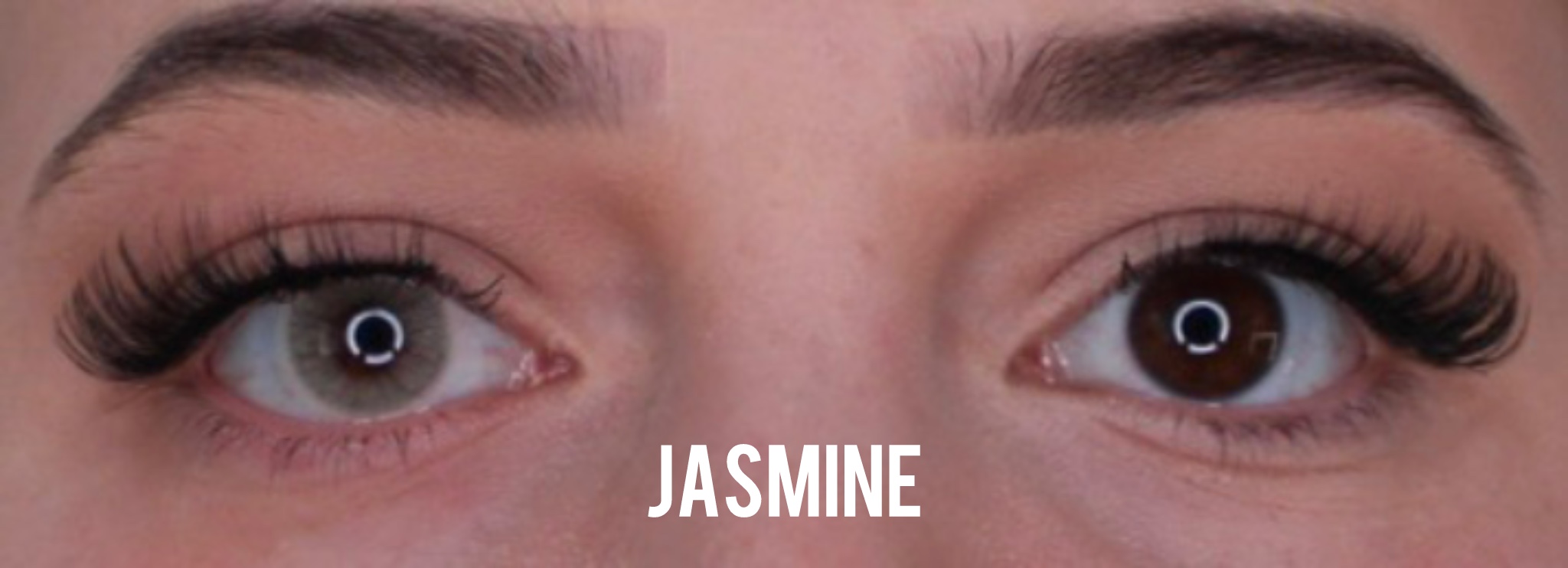 Jasmine Jahreslinsen - Image 2