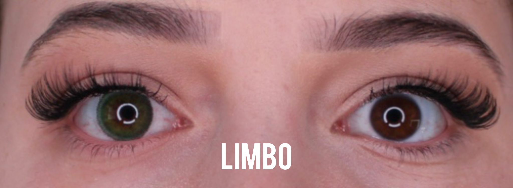 Limbo Jahreslinsen - Image 2