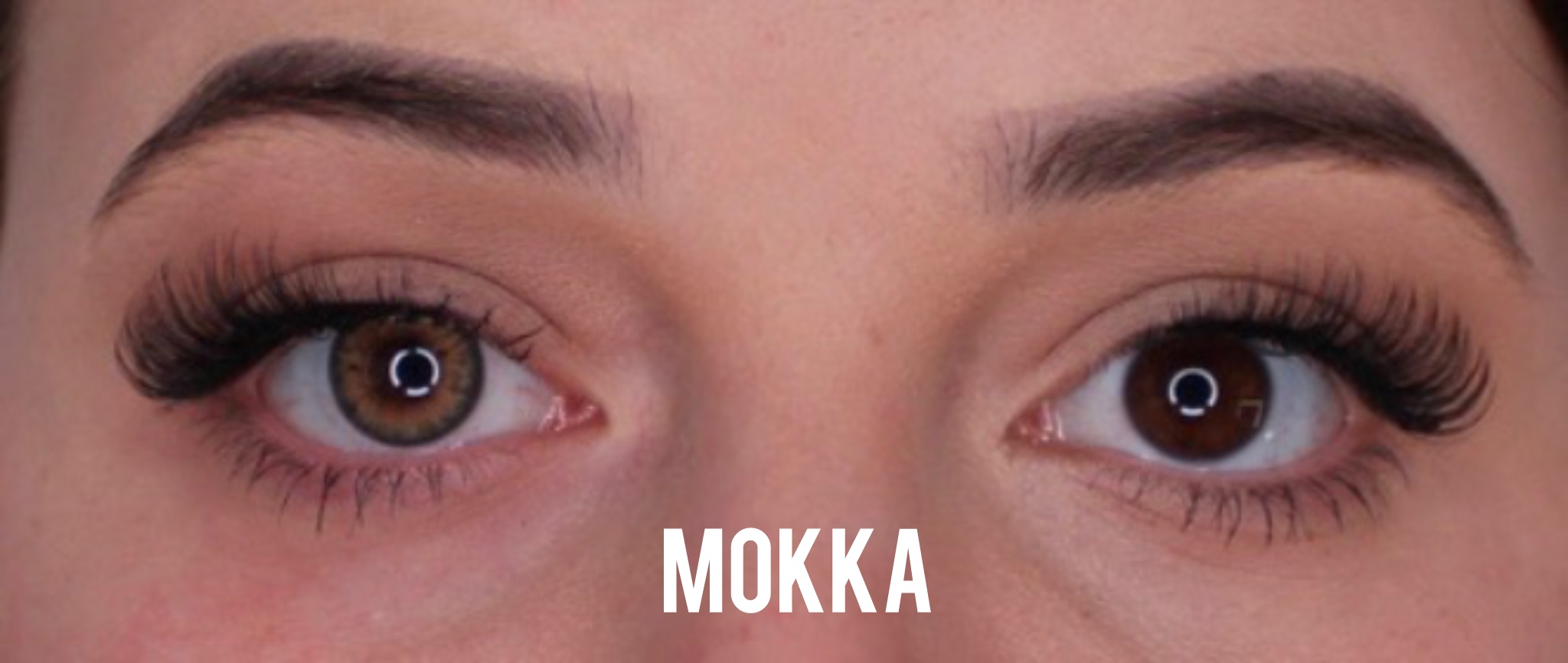 Mokka Jahreslinsen - Image 2