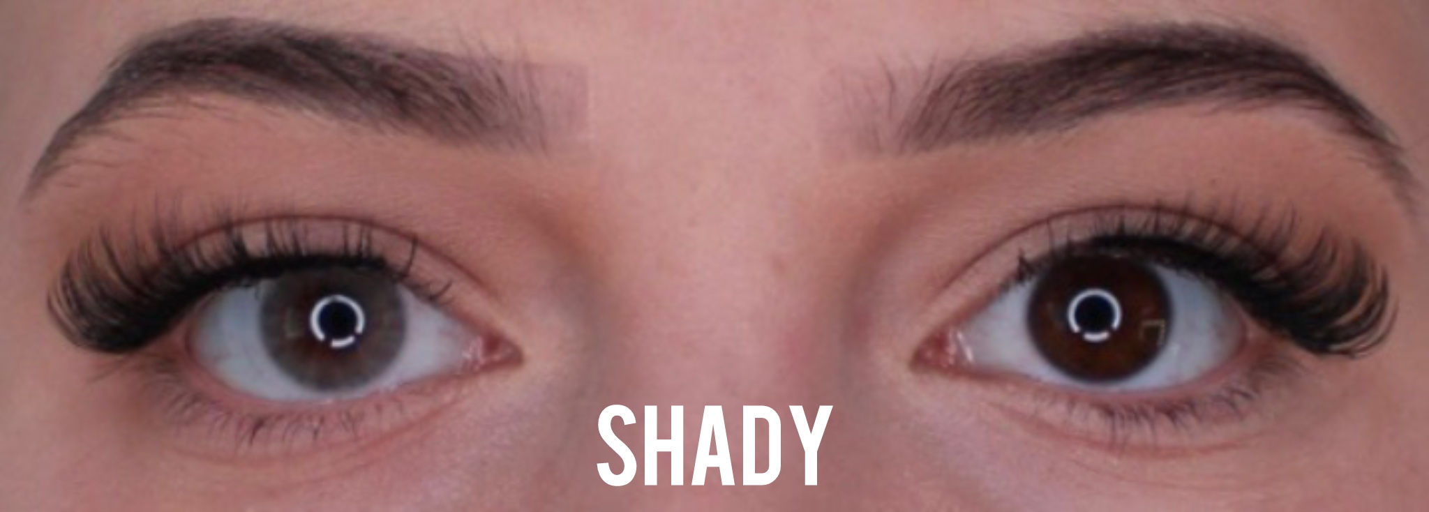 Shady Jahreslinsen - Image 2
