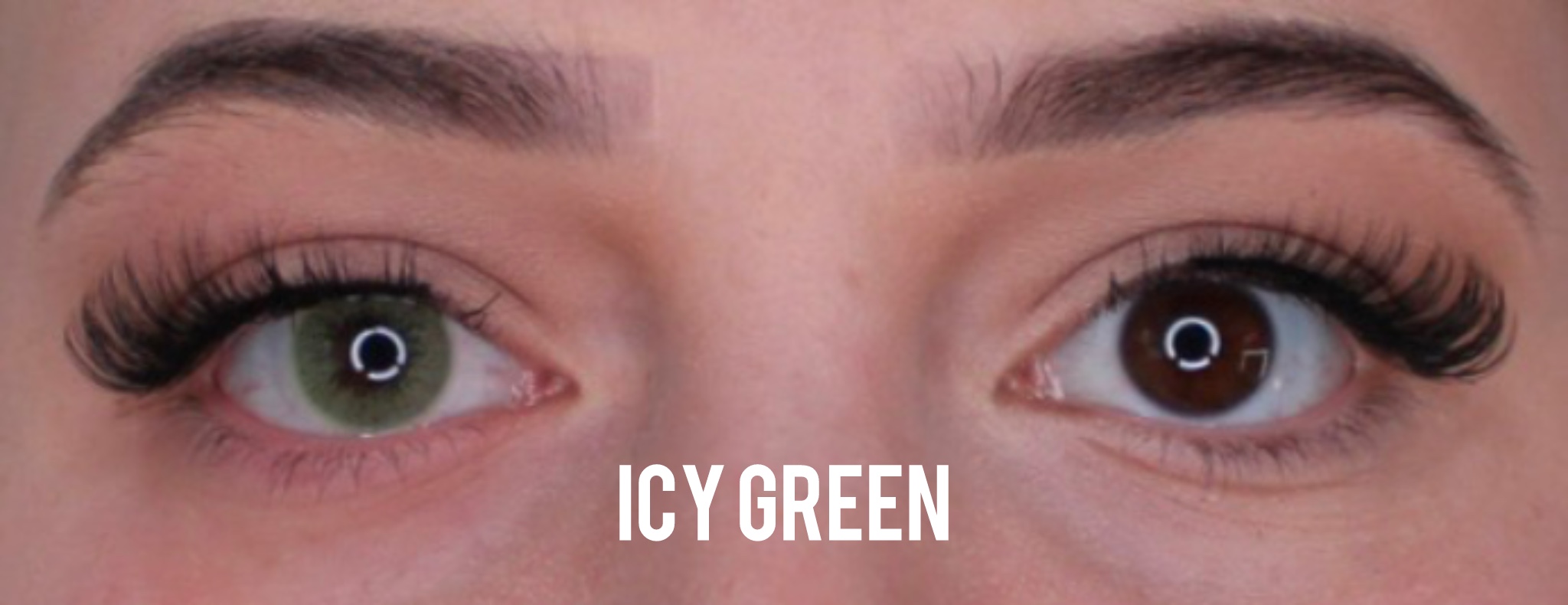 Icy Green Jahreslinsen - Image 2