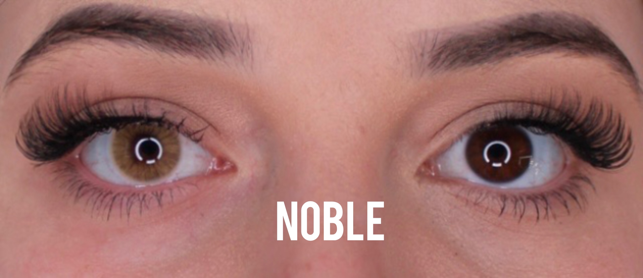 Noble Jahreslinsen - Image 2