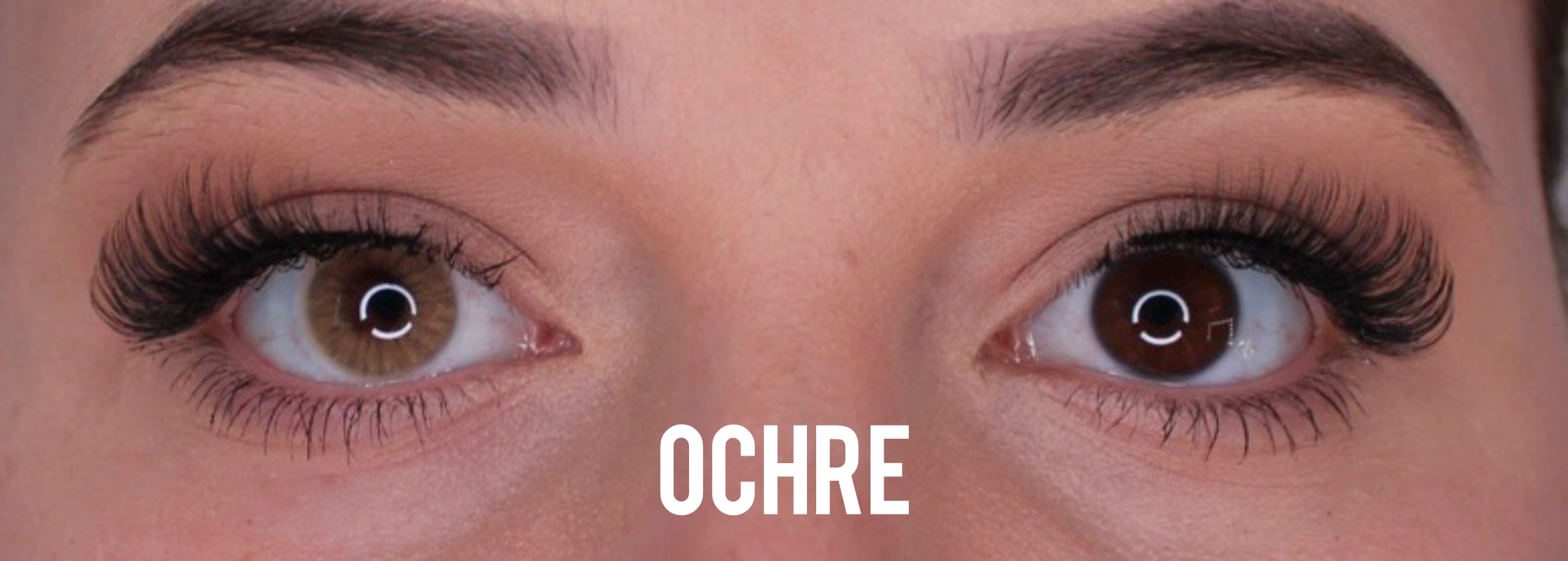 Ochre Jahreslinsen - Image 2