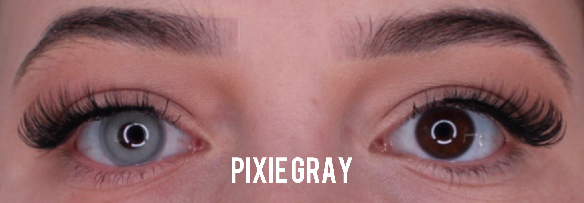 Pixie Gray Jahreslinsen - Image 2